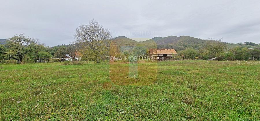 Teren intravilan de vânzare – 1.350 mp – Comuna Alexandru cel Bun - 5