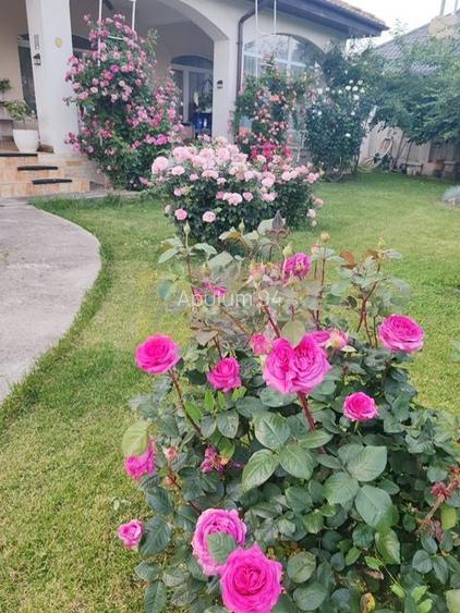 Vila superba in stil mediteranean Saftica- Corbeanca-  COMISION 0. - 4