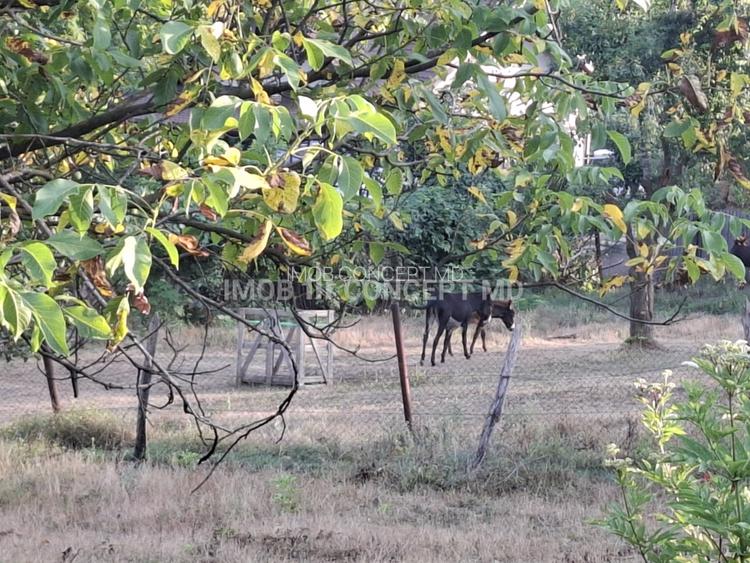 Teren spectaculos cu padure, livada si priveliste panoramica in Soimari PH - 11