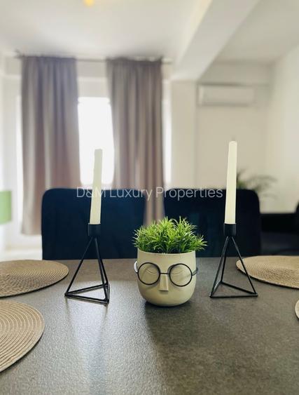 Aparatorii Patriei 2 camere langa Monaco Towers - 7