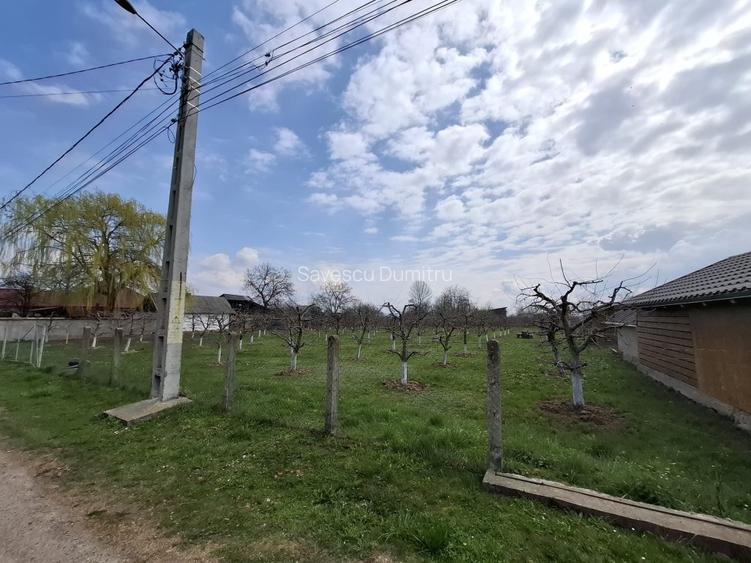 Teren Intravilan 2000 mp - Livadă de meri, Răucești 41 000 € Prețul e negociabil - 3