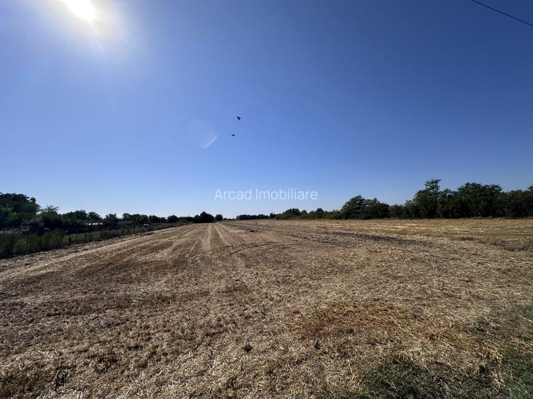 Teren de vânzare | 5.208 mp | Str. Bucegi, Creata – Dascălu - 2