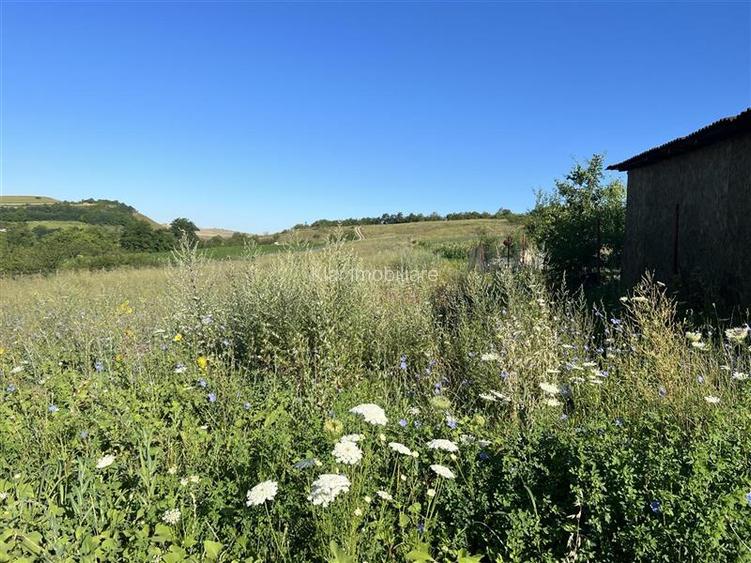 Teren pentru case, duplex,  zona frumoasa cu panorama sat Pata - 3