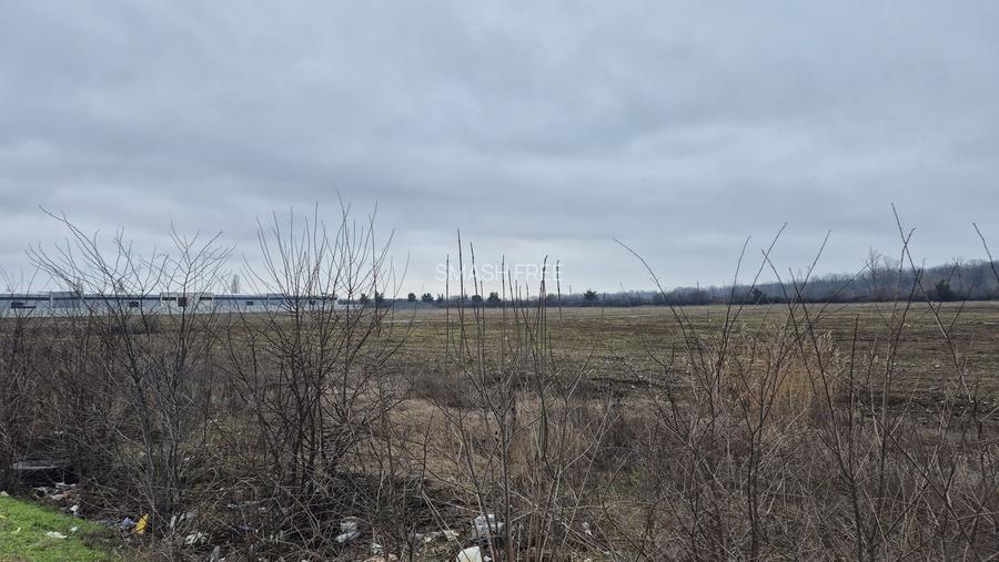 Teren intravilan 49309 mp - sos. De Centura pentru Parcuri Logistice si Hale - 4