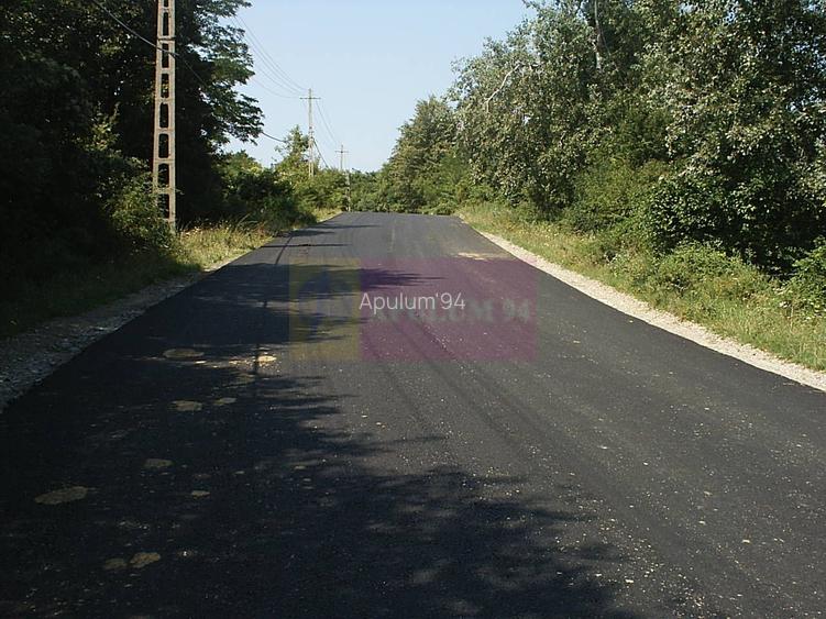 Teren intravilan de vanzare in Telega - 12