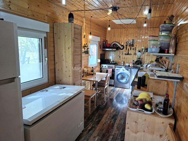 Priveliste de vis, 5 camere + anexe, teren 7000 mp, gata de mutat - comision 0%! - 20