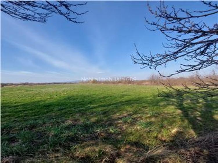 Onești | Teren 33 ha cu utilități • Se vinde integral sau în - 4