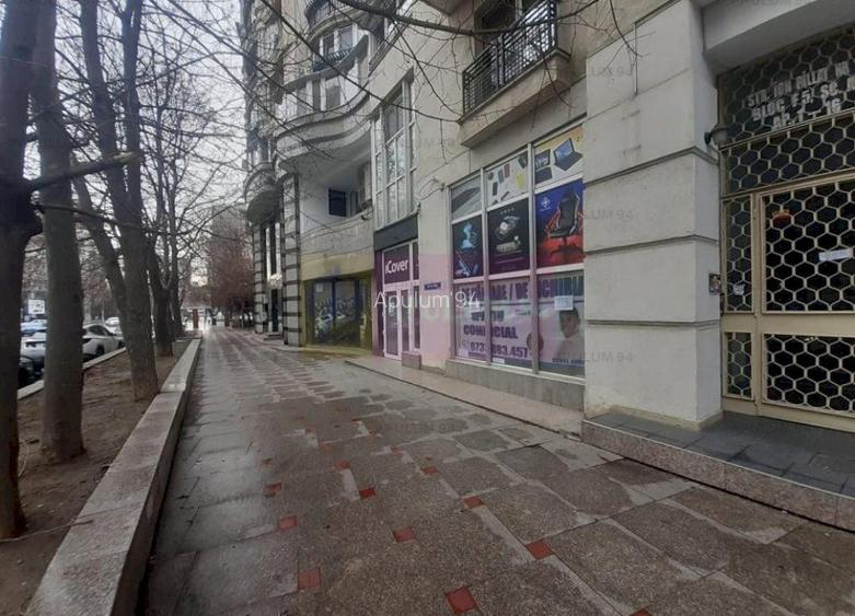 Spațiu zona Bulevardul Unirii - Zepter - 8