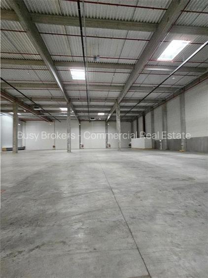 Spatiu Industrial - 6000 mp - Logistica - Productie - Depozitare - Distributie - 2