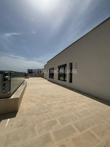 Becali Imobiliare - PENTHOUSE SPECTACULOS *** 5 CAMERE ***MUTARE IMEDIATA*** - 20
