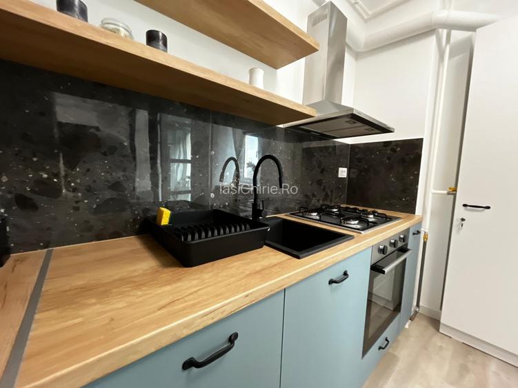 Apartament de inchiriat, o camera, Open space, 35 mp, Lunca Cetatuii - 9