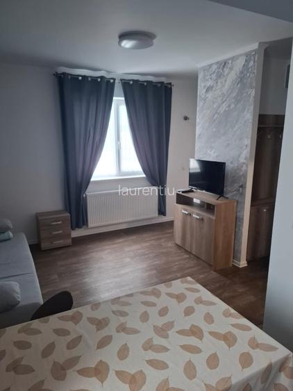 Afacere la cheie casa, vila, zona Therme,Aeroport - 4