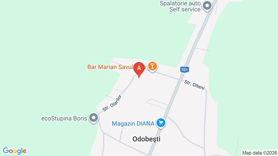 Casa de vanzare P+M în Odobesti Dambovita - 3