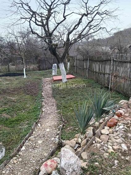 Casă de vânzare -locul unde "acasă"prinde contur  - 10