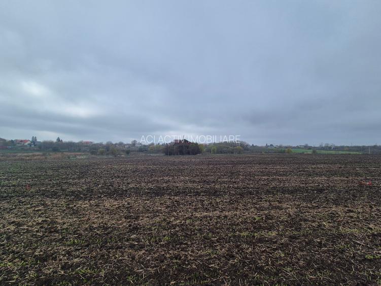 Teren intravilan,Frumusani, sat Pasarea - 2