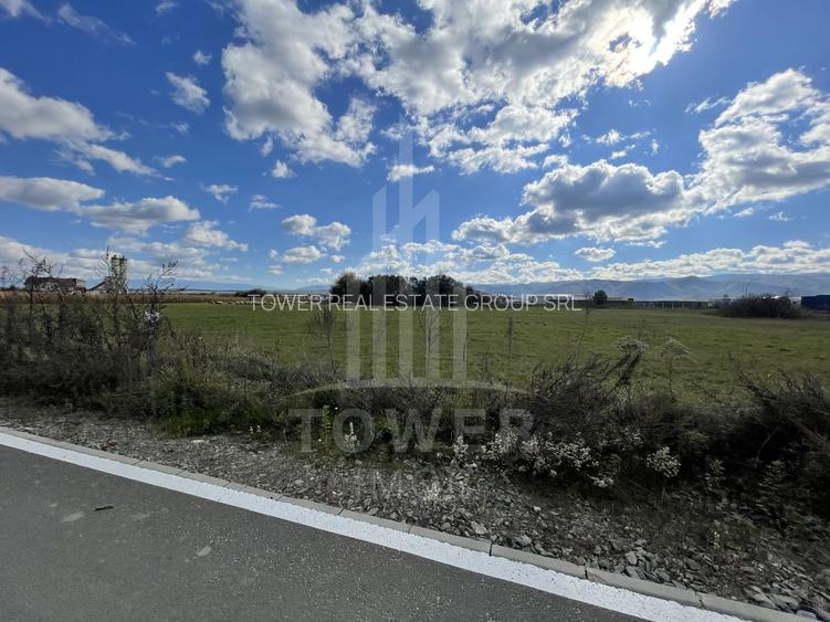 Teren industrial de vânzare în Cristian – 6.000 mp, deschidere la drum asfaltat - 2