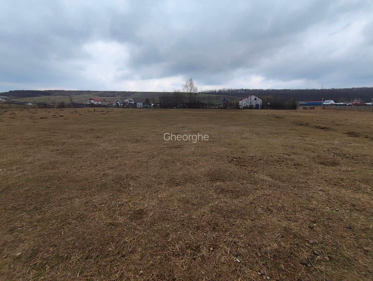 Teren de vânzare Șanta-Mogoșești - 3