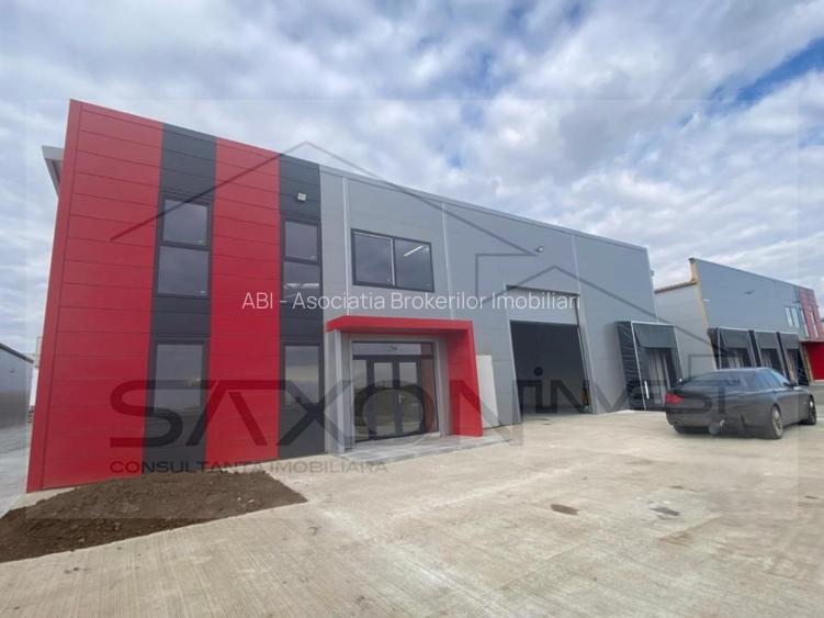 Hala industriala  Park  industrial Chiajna - 4