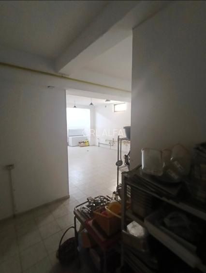 Apartament demisol 201 mp nefinisat+ 85 mp curte proprie - 4