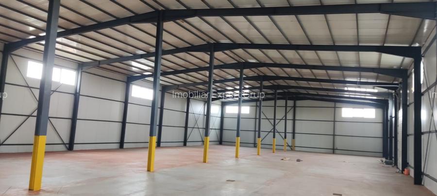 Hale noi 2buc  Voluntari ( Afumati ) pret bomba 750.000 euro - 5