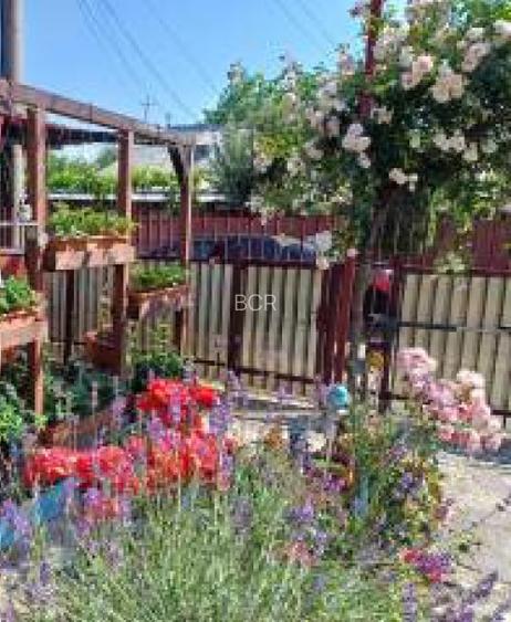 Casă/vilă 4 camere, BACAU - 5