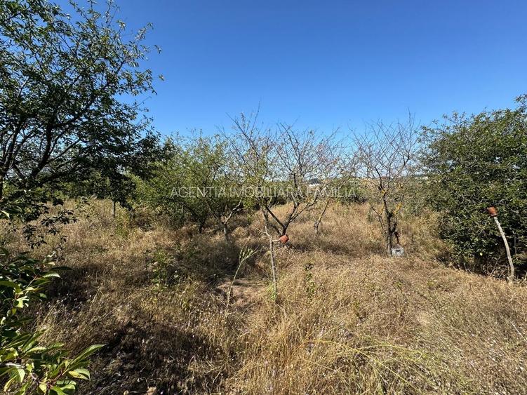 Cabana din lemn+ teren 2000 mp , 105.000 Euro negociabil, zona Metro - 16