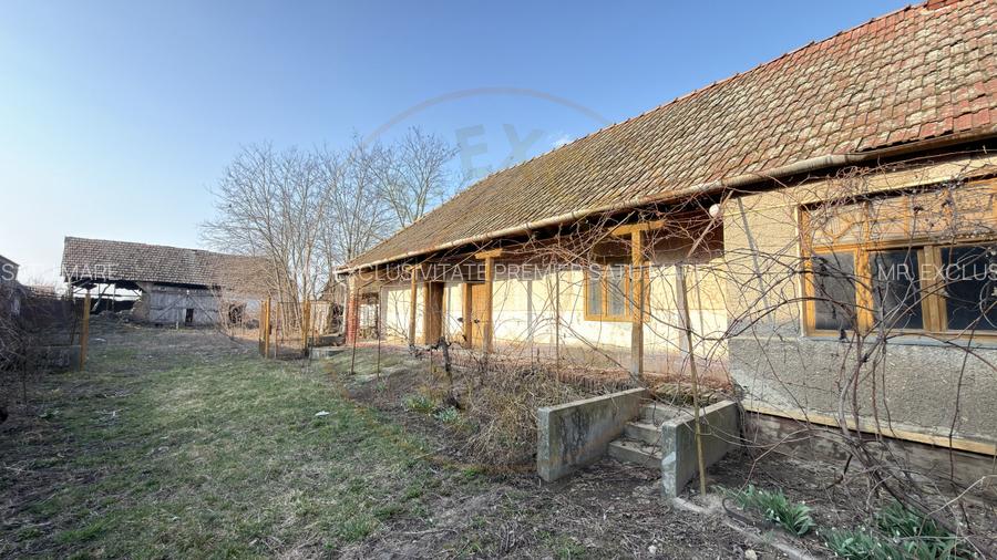 Casa 4 camere, Teren 2.948 mp Tiream SM - Comision 0% cumparator - 13