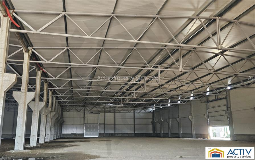 Spatiu industrial de inchiriat Vidrasau Mures - 4