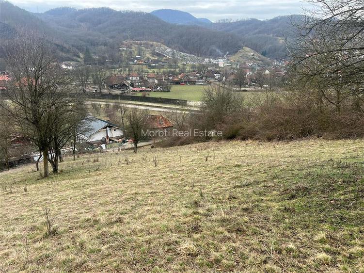 Teren intravilan si extravilan Luncoiu de Jos - 4