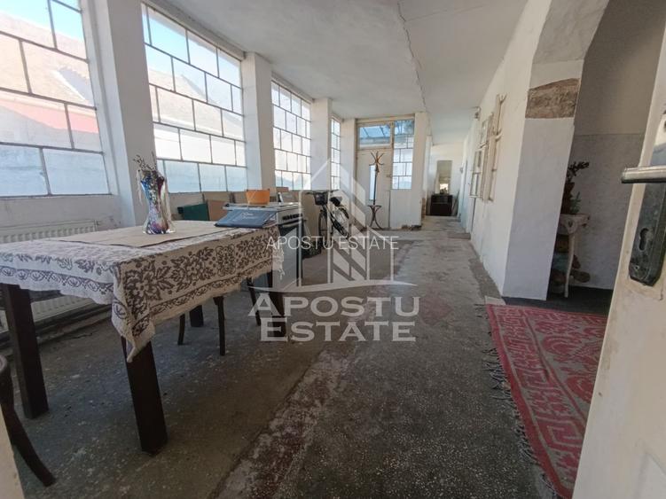 Casa individuala cu teren generos 2158mp, front 12m, livada, Freidorf - 20