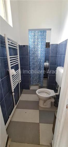 Cazare muncitori garsoniere/apartamente la curte in Vladimirescu - 19