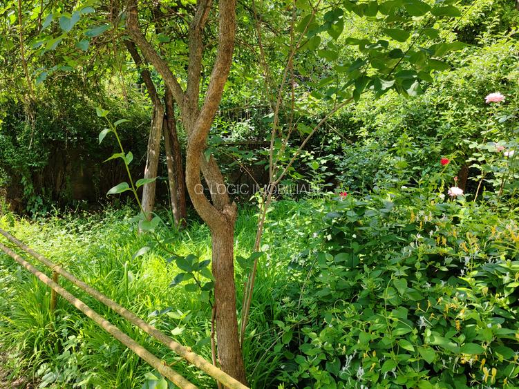 Casa 6 camere libera la vanzare zona Bartolomeu - 29