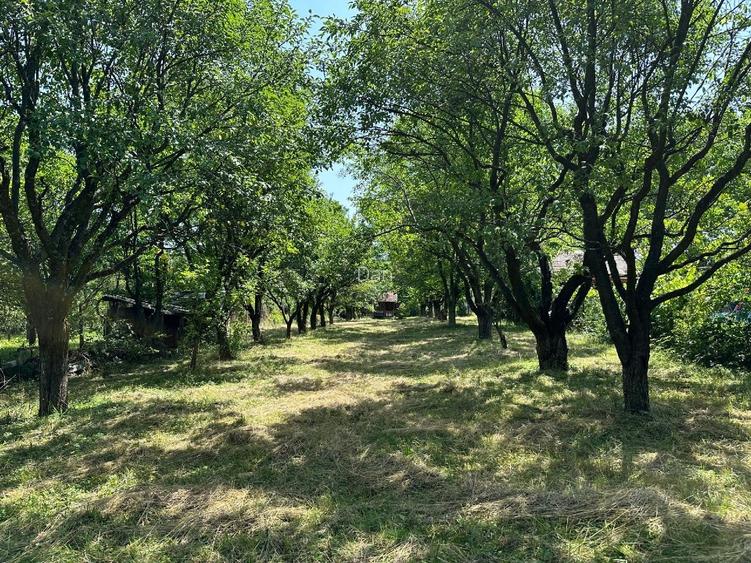 Teren intravilan 1915mp de vanzare zona Tocile (Sibiu) 16,5m deschidere - 6