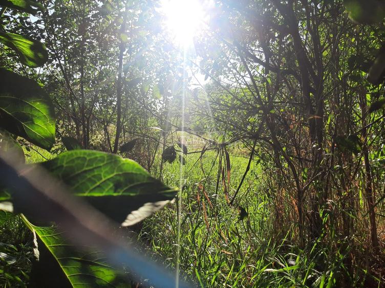 Exclusivitate! Casa în Zona Dâmbul Rotund, 3046mp teren. - 3