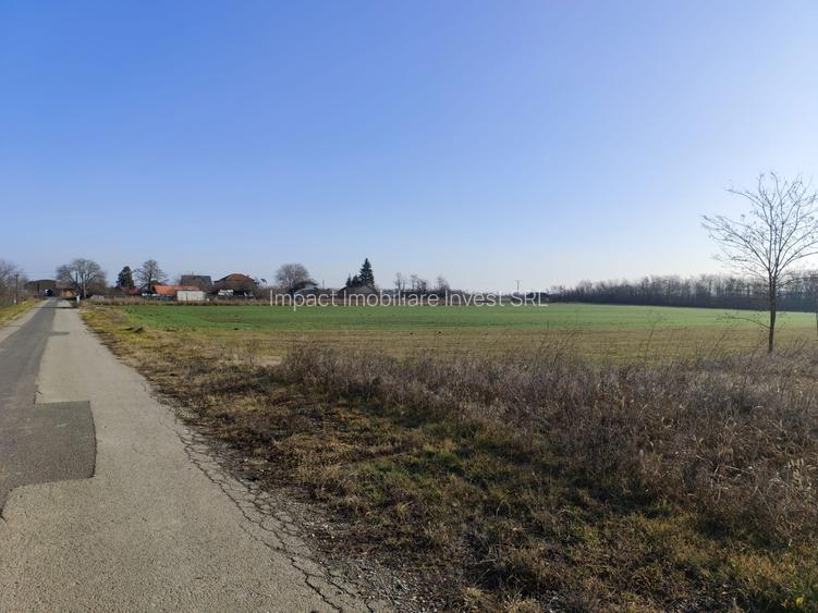 Gradistea/Zona padure - 5