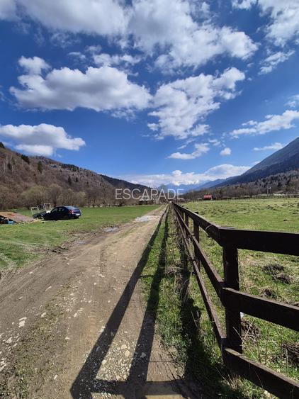 Teren superb intravilan 1200 mp, Plaiul Foii, vedere la munte - 7