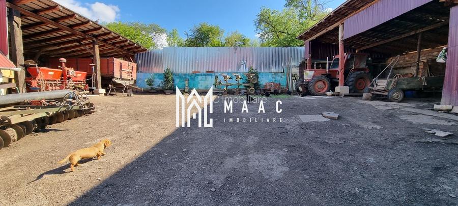 Casă 5 camere I Renovată I 1400 mp I Garaj I Grădină I Hașag - 19