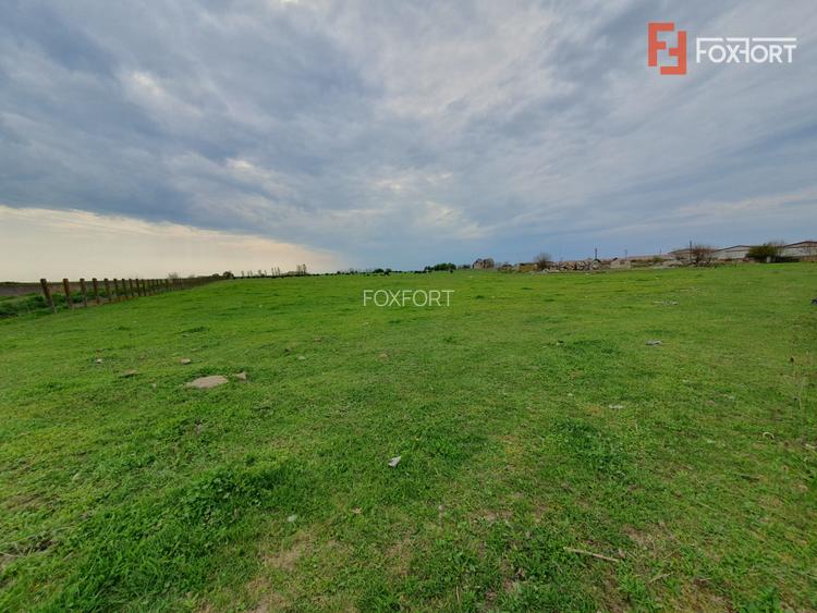 Teren intravilan cu suprafata de 58.340 mp, in Sanmartinul Sarbesc - 22