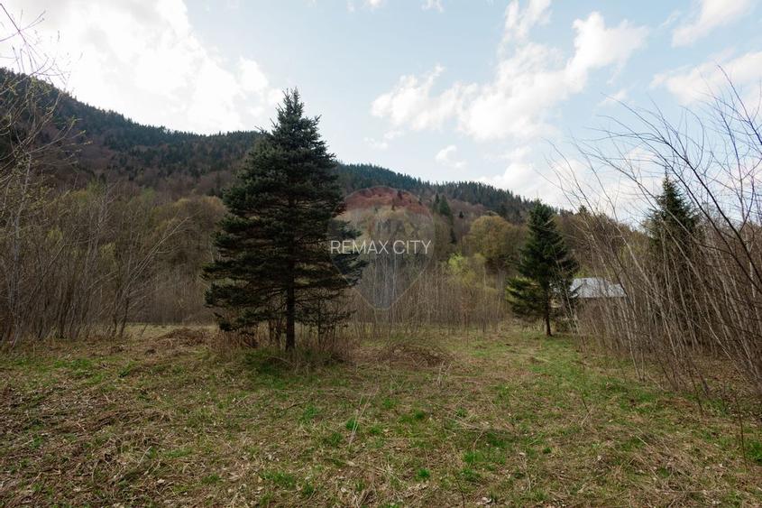 Casa si teren intravilan Tarcau - 35