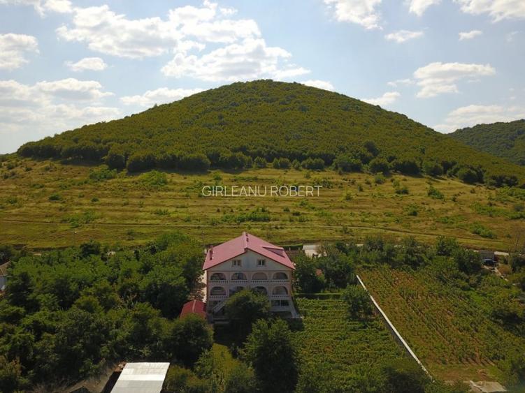 OPORTUNITATE VILA-PENSIUNE-HOTEL-CLINICA-CLADIRE ADMINISTRATIVA - 5