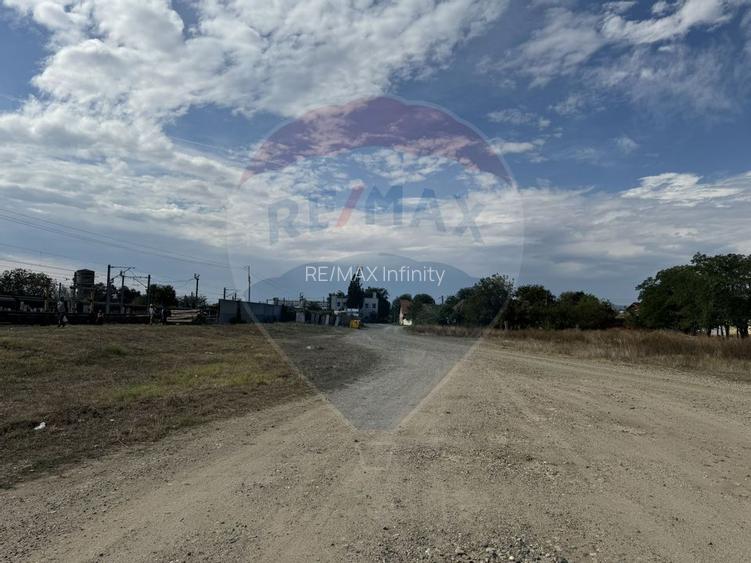 Teren industrial 5.000 mp Vintu de Jos – amplasament strategic - 4