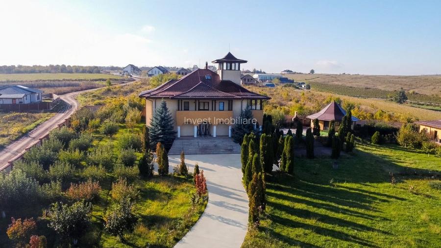 Proprietate Unică de Vânzare în Vișani, Iași – Reședință și Investiție Turistică - 2