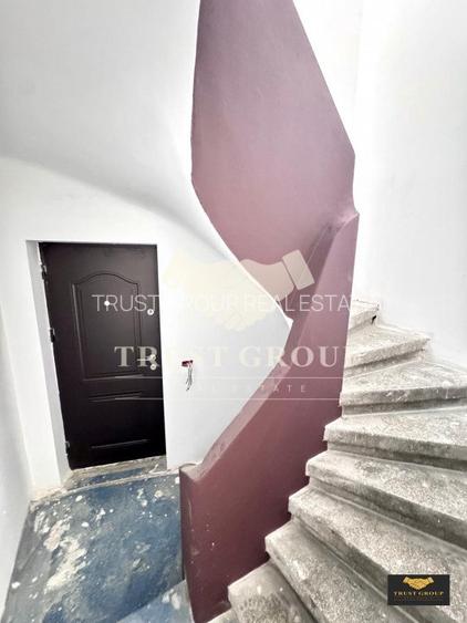 Casa individuala Gradina Icoanei | 2 Locuri Parcare | 253 mp curte libera  - 18