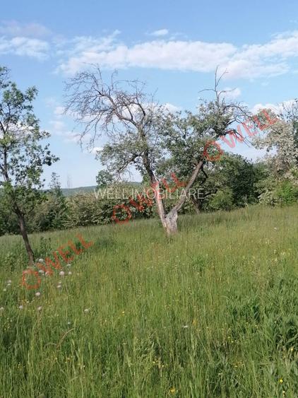 De vânzare teren intravilan în Estelnic! - 4