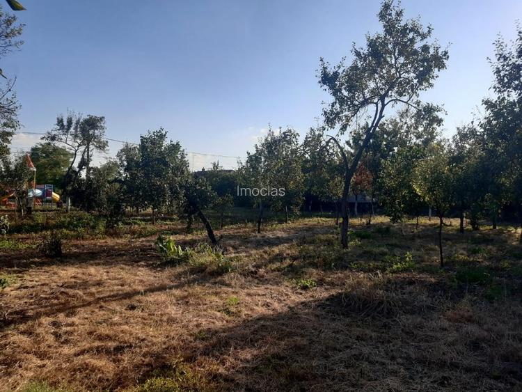 Casa Caramida Beregsau Mic pozitie foarte buna  Centru - 10