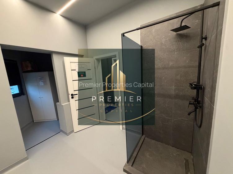 Spatiu comercial in vila Aviatorilor - Popa Savu 3a pretabil multiple activitati - 11