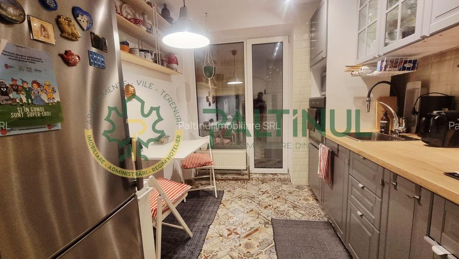 Apartament 2 camere cu balcon, renovat complet, Terezian - 7