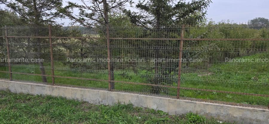 LIVADA  DE VANZARE FOCSANI-DUMBRAVITA  1,8  HA - 5