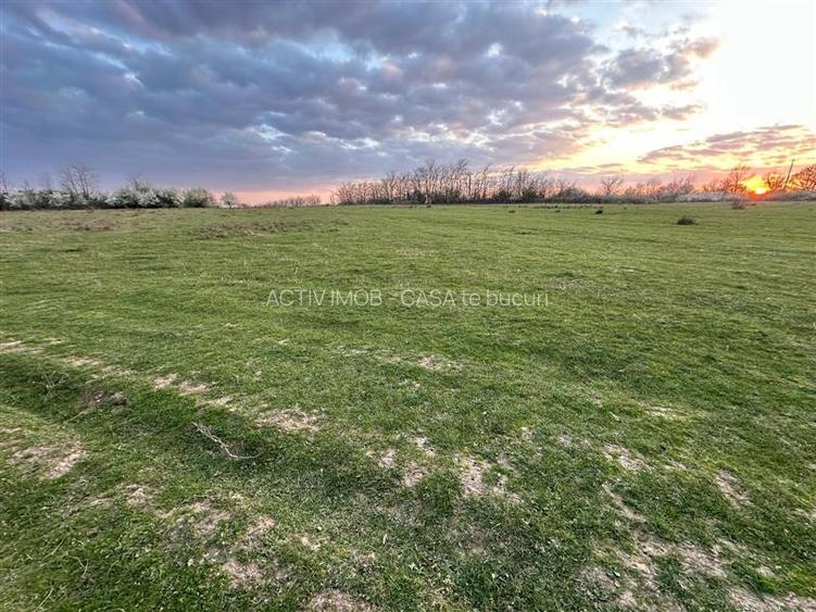 Bocsa Romana, 2 terenuri intravilan, 10.000 Mp.(59.900 Euro) si arabil, 80.000 M - 7