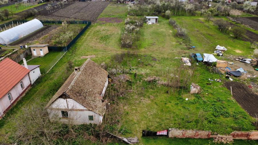 Teren intravilan 3.593 mp de vânzare în Parța - 5